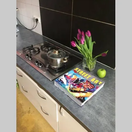 Maison Spacieuse Avec Jardin Et Garage * Burdeos